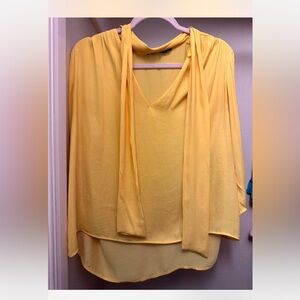 Zara blouse